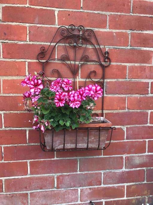 Brook Lodge Garden Flat Swanage Exterior photo